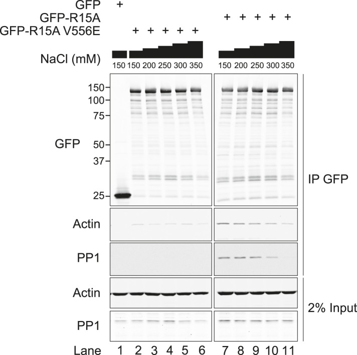 Figure 3—figure supplement 1.