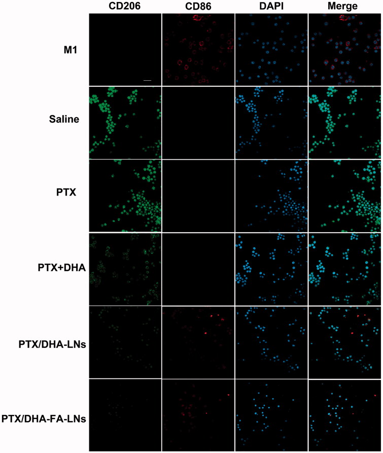 Figure 9.