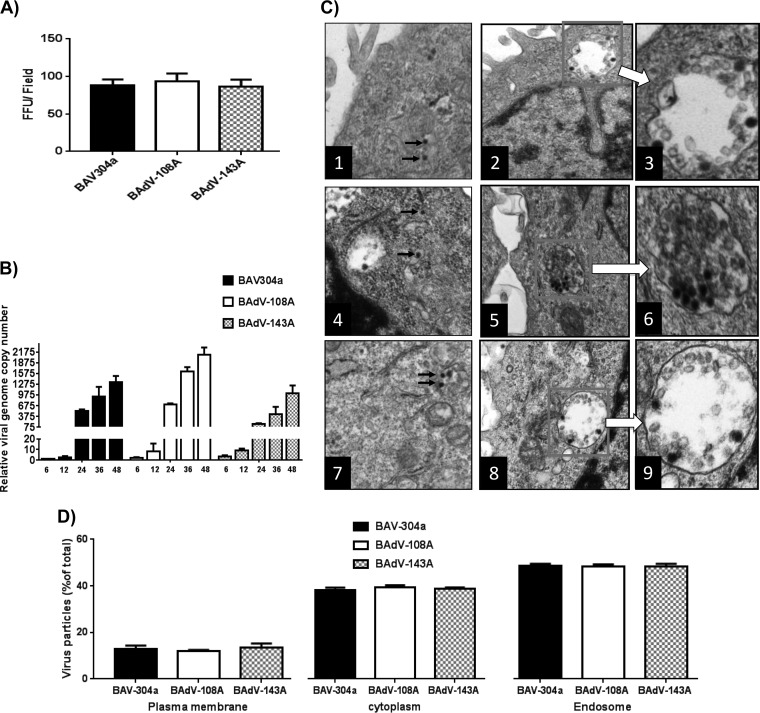 FIG 6