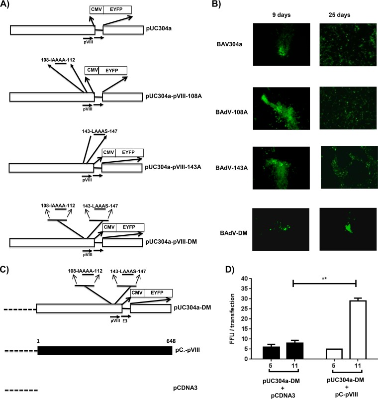 FIG 4