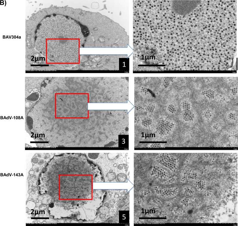 FIG 10