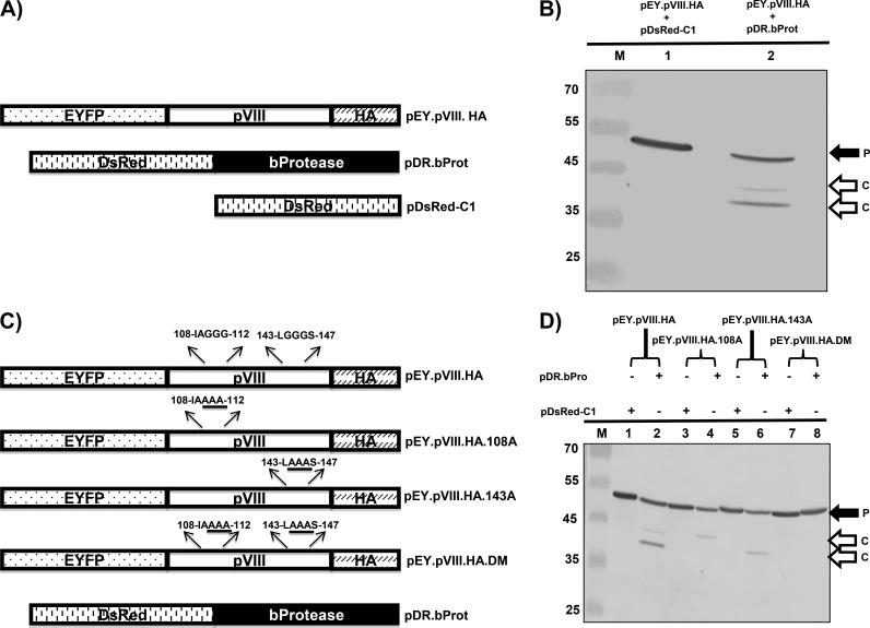 FIG 2