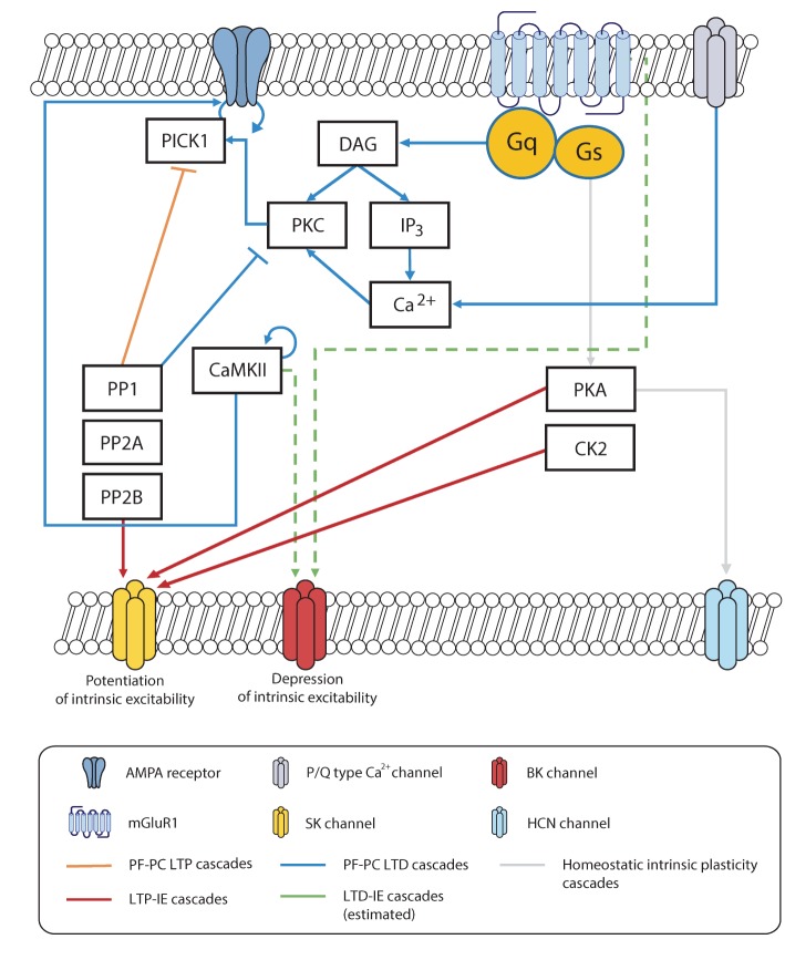 Fig. 2