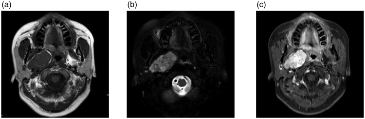 Figure 1.