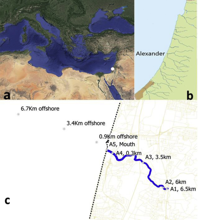 Fig. 1