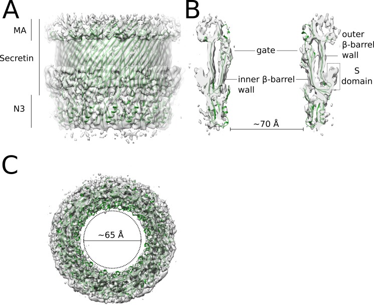 Fig 6