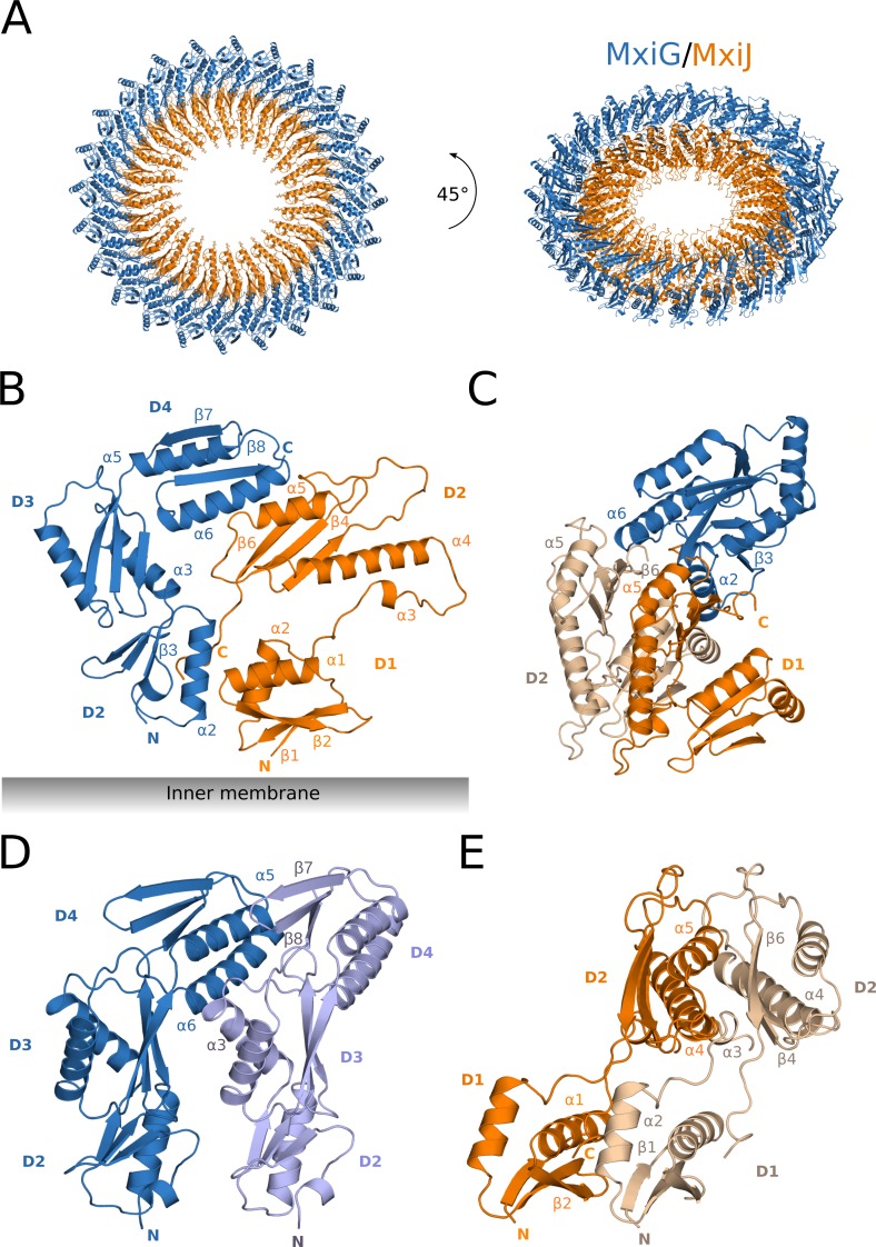 Fig 3