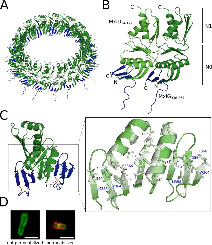 Fig 5