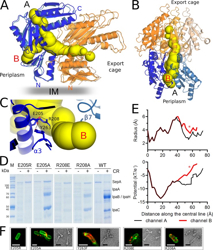 Fig 4