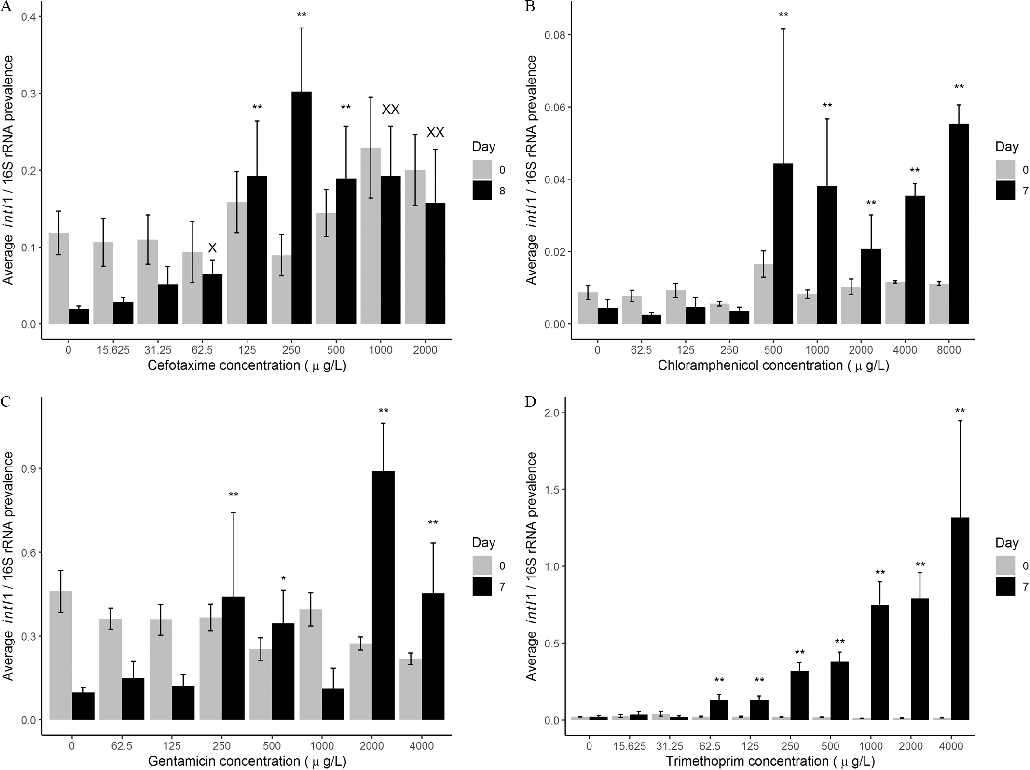 Figures 1A, 1B, 1C, and 1D are clustered bar graphs, depicting the evolution experiments for cefotaxime, chloramphenicol, gentamicin, and trimethoprim by plotting average class 1 integron-integrase gene per 16 small ribosomal ribonucleic acid prevalence, ranging from 0.0 to 0.4 in unit increments; 0.00 to 0.08 in increments of 0.02; 0.0 to 0.9 in increments of 0.3; and 0.0 to 2.0 in increments of 0.5 (y-axis) across cefotaxime concentration (micrograms per liter), ranging from 0 to 31.25 in increments of 15.625, 31.25 to 62.5 in increments of 31.25, 62.5 to 125 in increments of 62.5, 125 to 250 in increments of 125, 250 to 500 in increments of 250, 500 to 1,000 in increments of 500, and 1,000 to 2,000 in increments of 1,000; chloramphenicol concentration (micrograms per liter), ranging from 0 to 125 in increments of 62.5, 125 to 250 in increments of 125, 250 to 500 in increments of 250, 500 to 1,000 in increments of 500, 1,000 to 2,000 in increments of 1,000, 2,000 to 4,000 in increments of 2,000, and 4,000 to 8,000 in increments of 4,000; gentamicin concentration (micrograms per liter), ranging 0 to 125 in increments of 62.5, 125 to 250 in increments of 125, 250 to 500 in increments of 250, 500 to 1,000 in increments of 500, 1,000 to 2,000 in increments of 1,000, and 2,000 to 4,000 in increments of 2,000; and trimethoprim concentration (micrograms per liter), ranging from 0 to 31.25 in increments of 15.625, 31.25 to 62.5 in increments of 31.25, 62.5 to 125 in increments of 62.5, 125 to 250 in increments of 125, 250 to 500 in increments of 250, 500 to 1,000 in increments of 500, 1,000 to 2,000 in increments of 1,000, and 2,000 to 4,000 in increments of 2,000 for day, including 0, 8; 0, 7; 0, 7; and 0, 7, respectively.