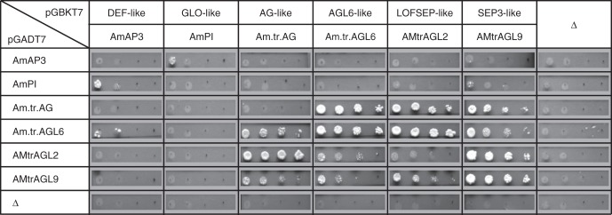 Fig. 2.