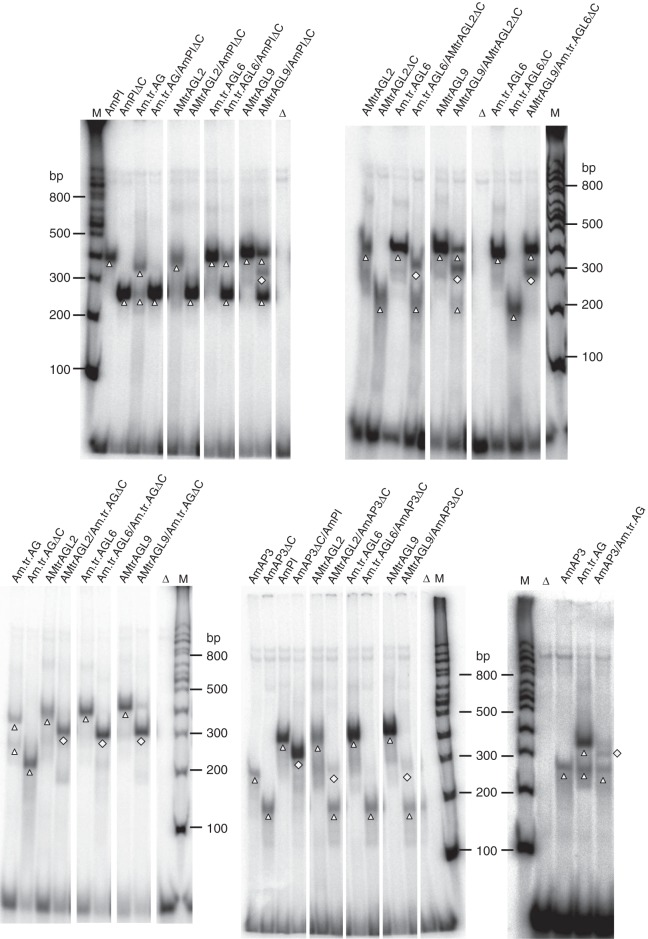 Fig. 3.