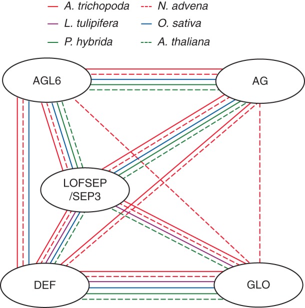 Fig. 7.