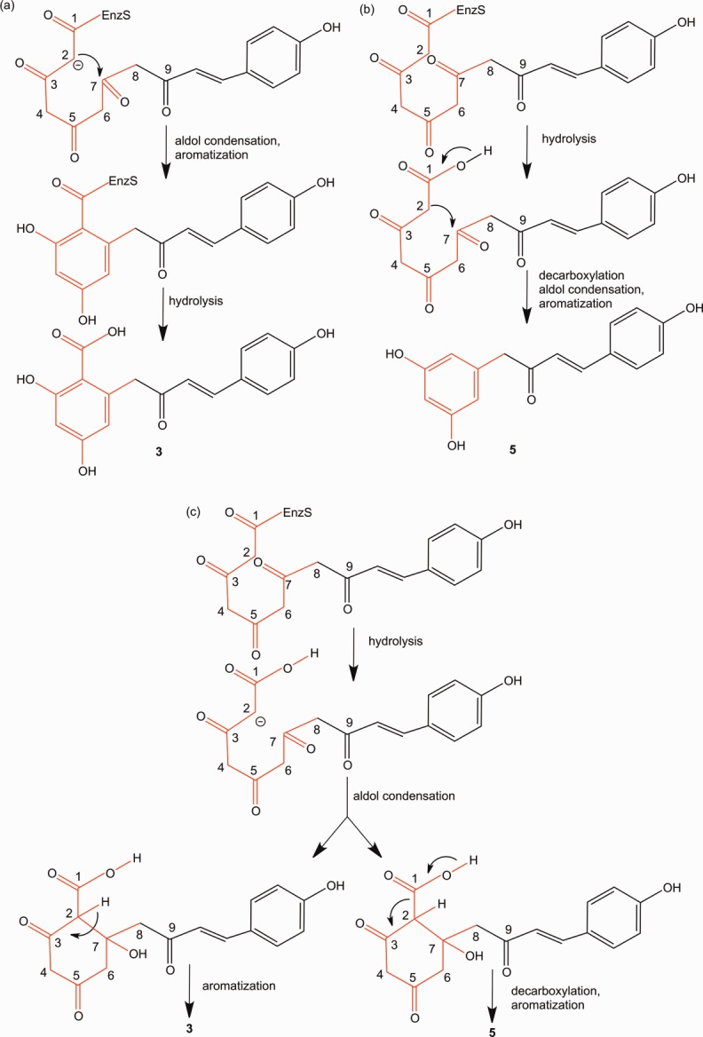 Scheme 2