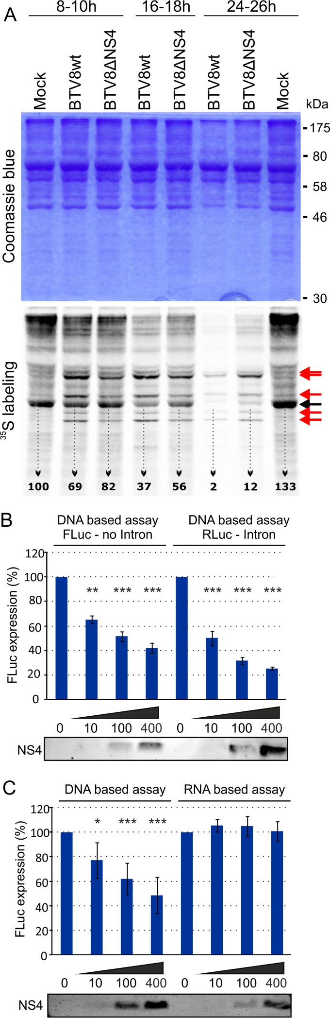 FIG 8