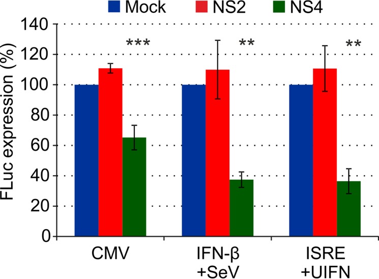 FIG 6