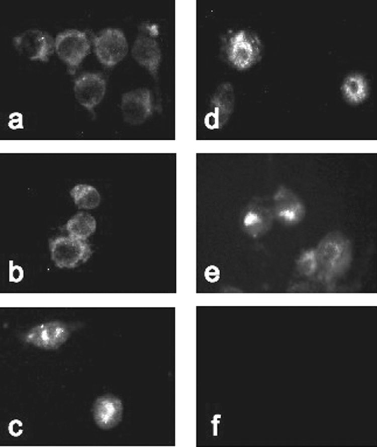 FIG. 8.