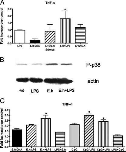 FIG. 9.