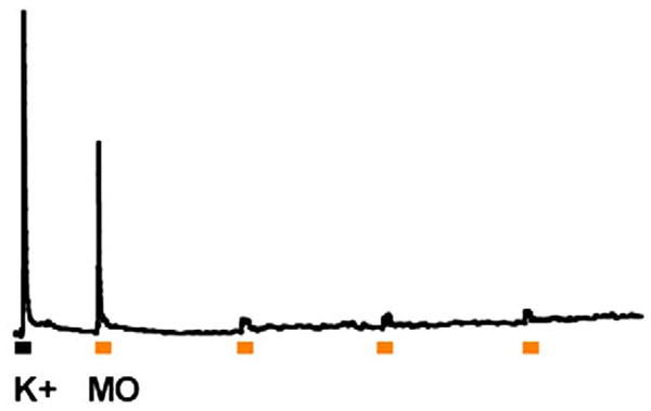 Fig. 13