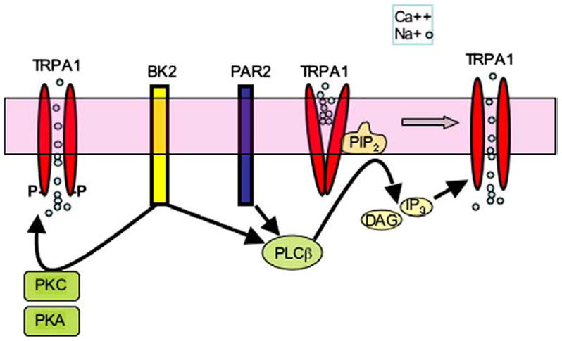 Fig. 14