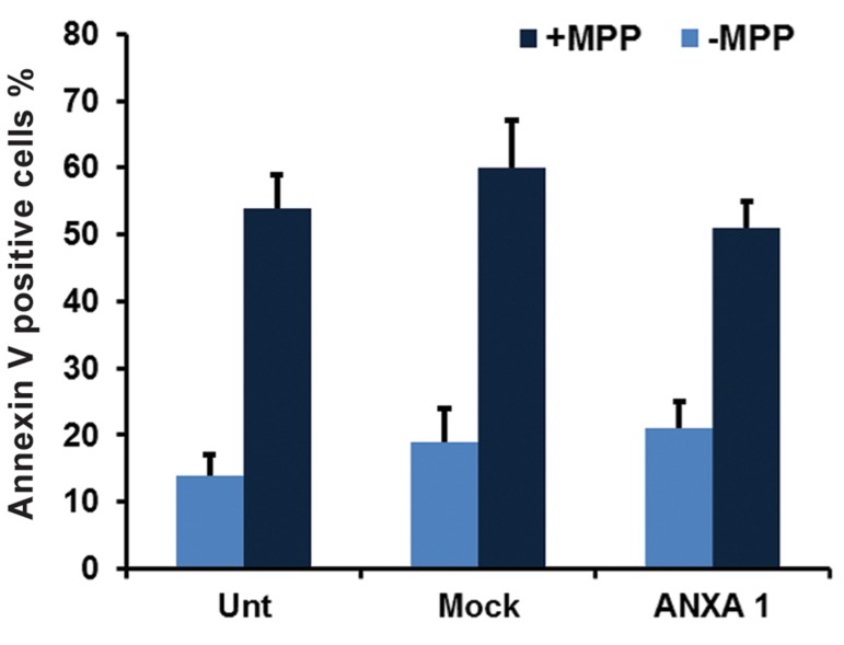 Fig.3