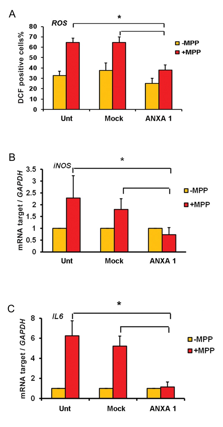 Fig.4