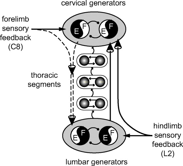 Figure 10.