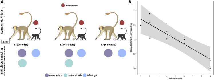 Figure 1