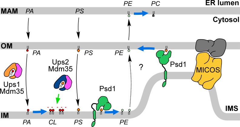 Figure 1.