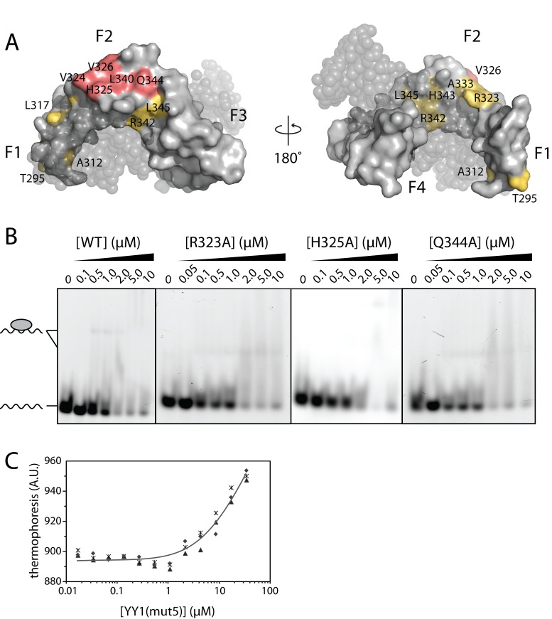 Figure 5.