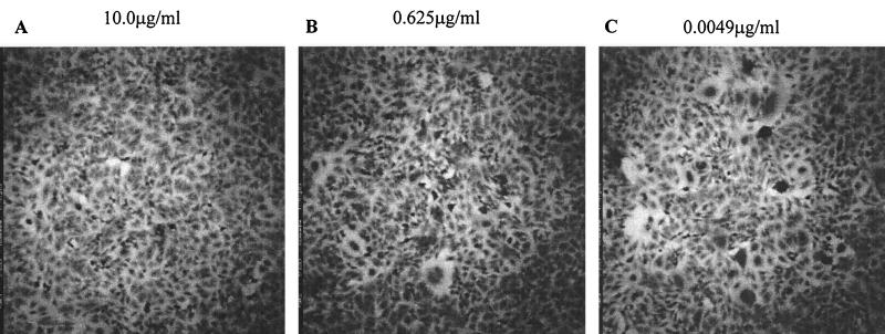 FIG. 4.