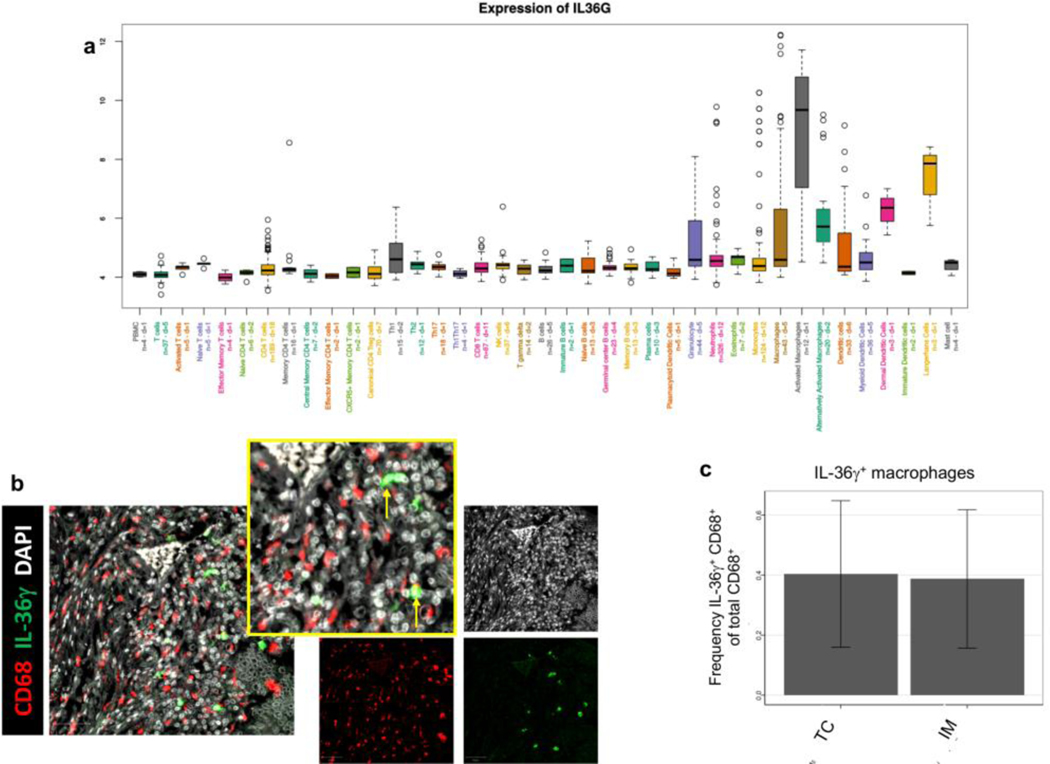 graphic file with name nihms-1524750-f0002.jpg