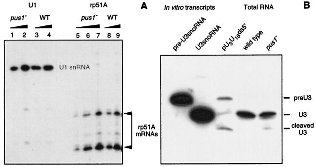 FIG. 6