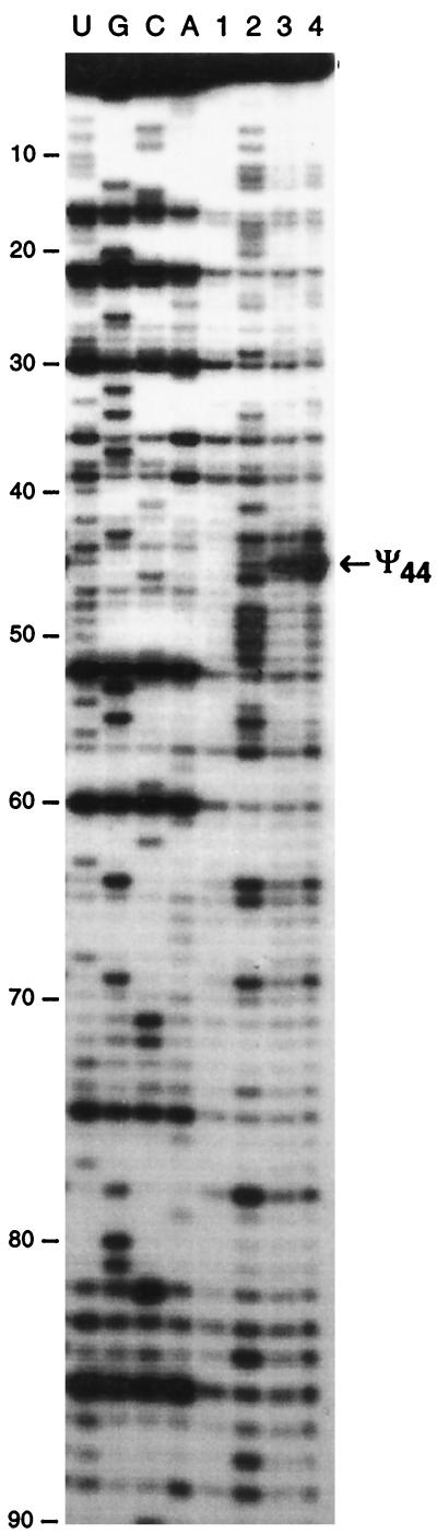 FIG. 5