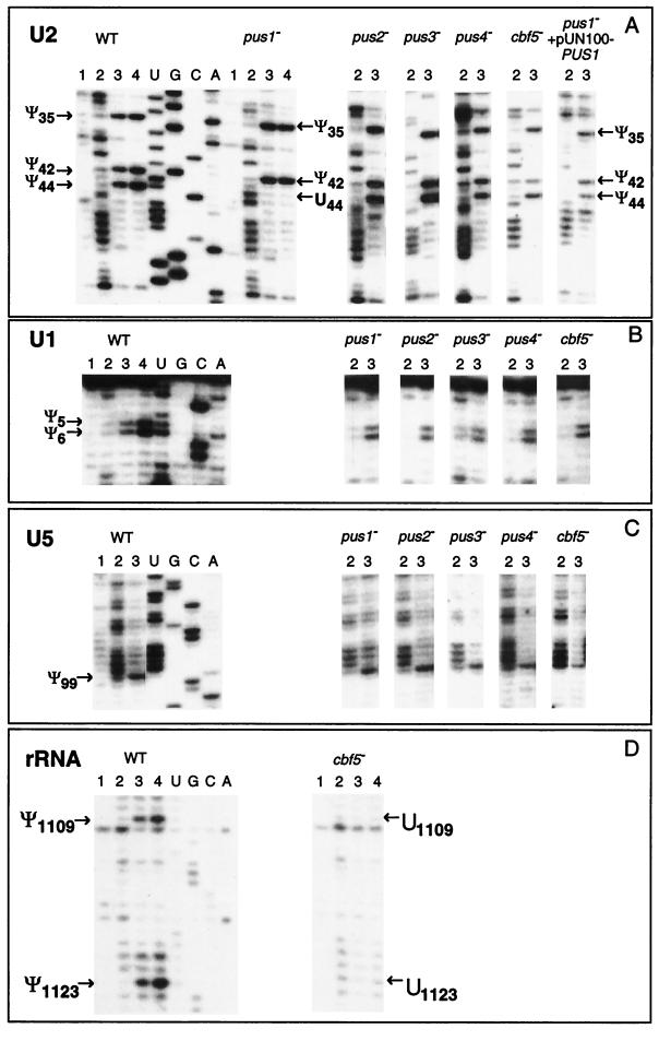 FIG. 4