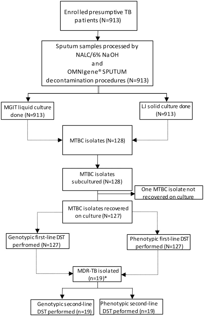 Fig 1