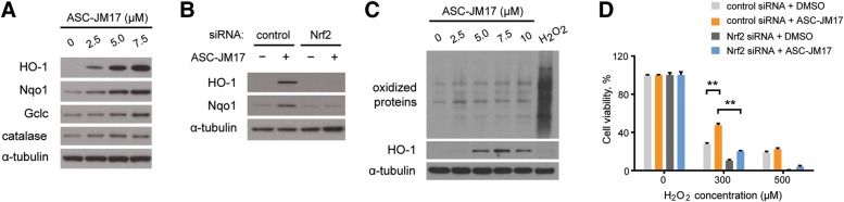 Figure 3.