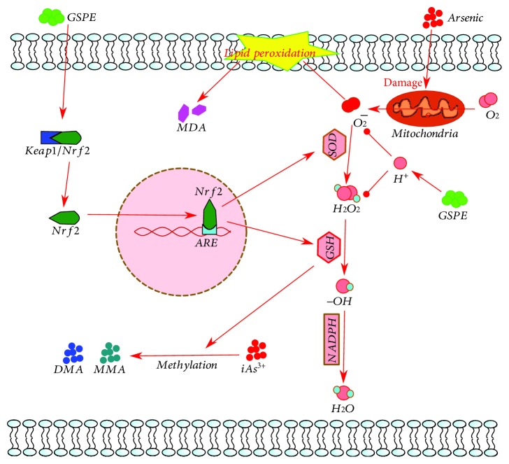 Figure 18