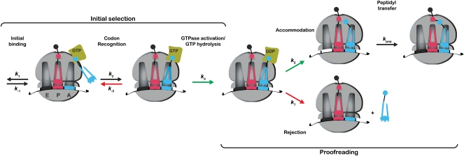 FIGURE 1.