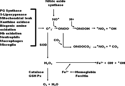 FIG. 1