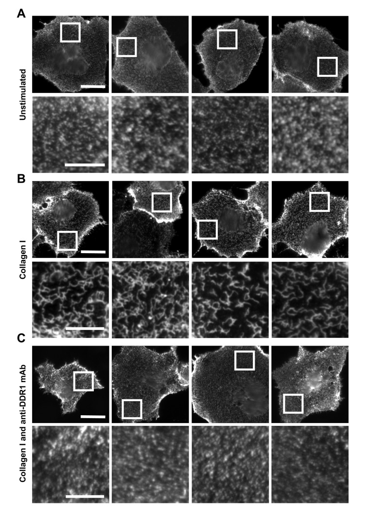 Figure 10.