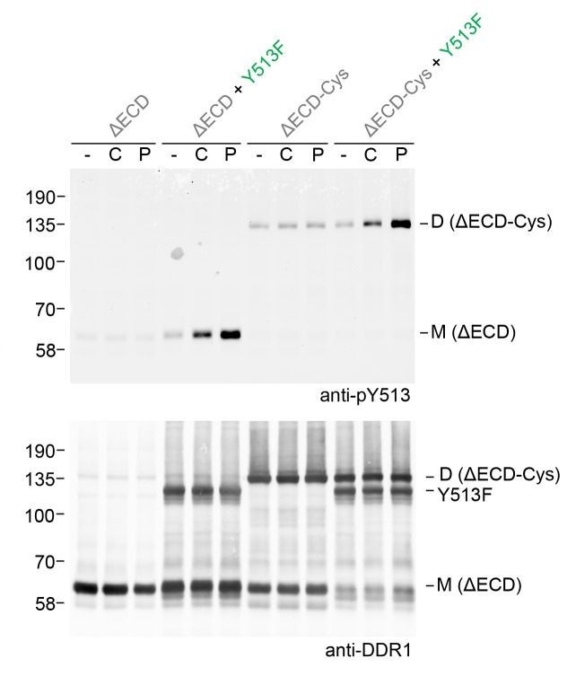 Figure 9.