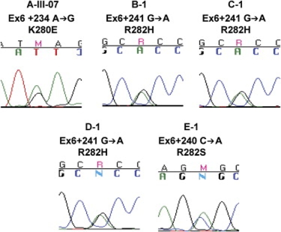 Figure 4