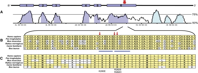 Figure 5