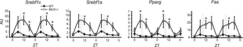 Figure 6.