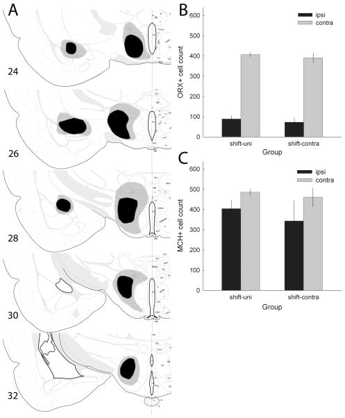 Fig. 9