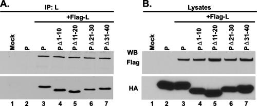 FIG. 5.