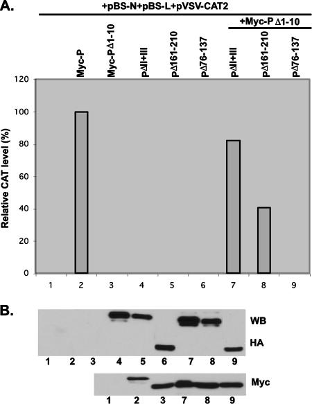 FIG. 7.