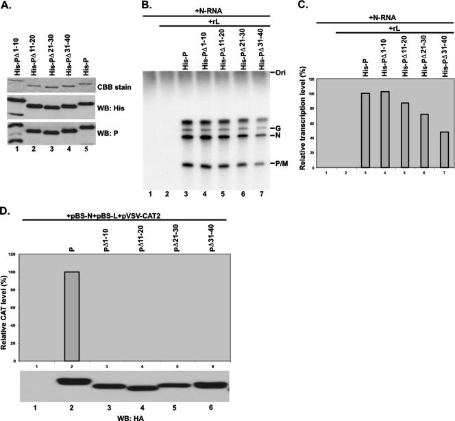 FIG. 6.