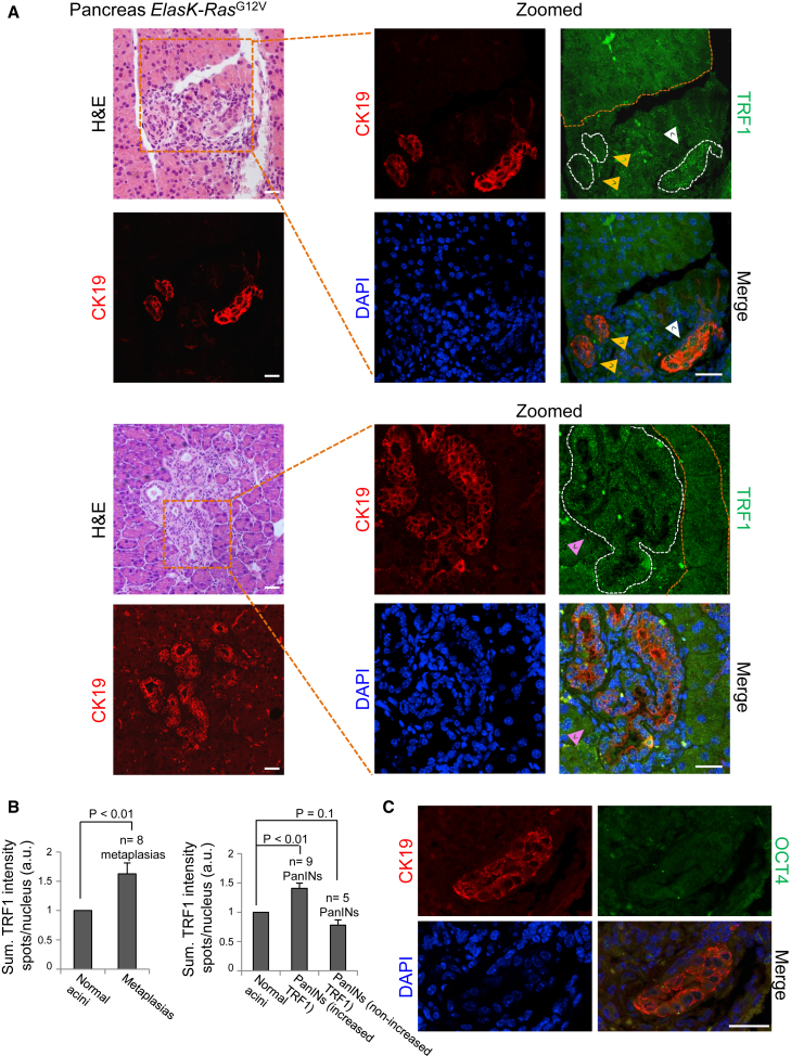 Figure 6